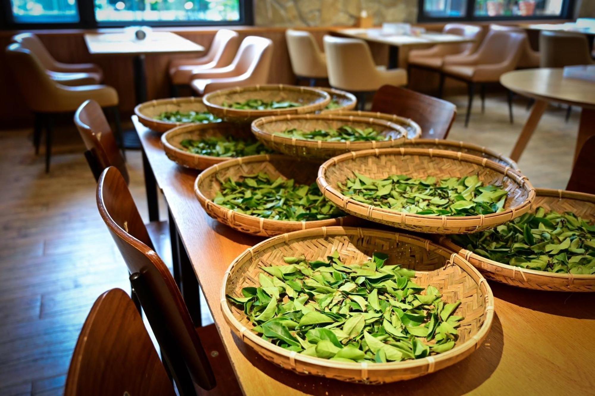 Ginkgo Hotel Lộc Cốc Ngoại thất bức ảnh